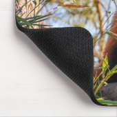 赤パンダ マウスパッド (コーナー)