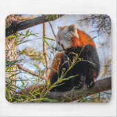 赤パンダ マウスパッド (正面)