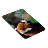 赤パンダ マグネット (右側)