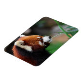 赤パンダ マグネット (左側)