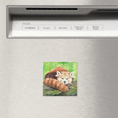 赤パンダ マグネット (インサイチュ (食洗機))