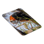 赤パンダ マグネット (右側)