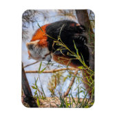 赤パンダ マグネット (縦)