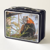 赤パンダ メタルランチボックス (裏面)