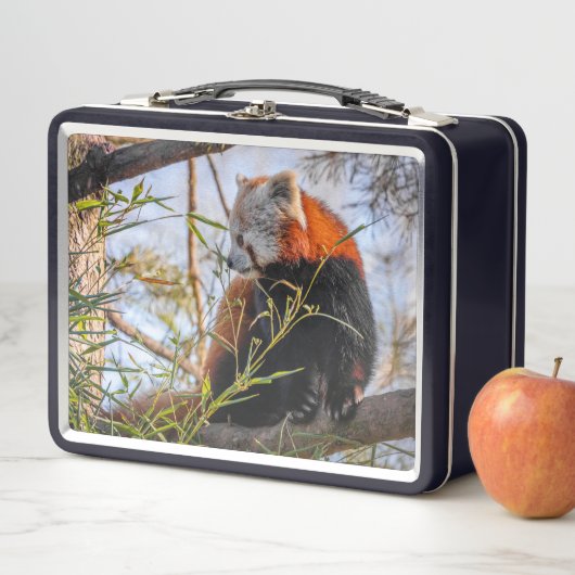 赤パンダ メタルランチボックス (インサイチュ)