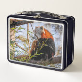 赤パンダ メタルランチボックス (正面)