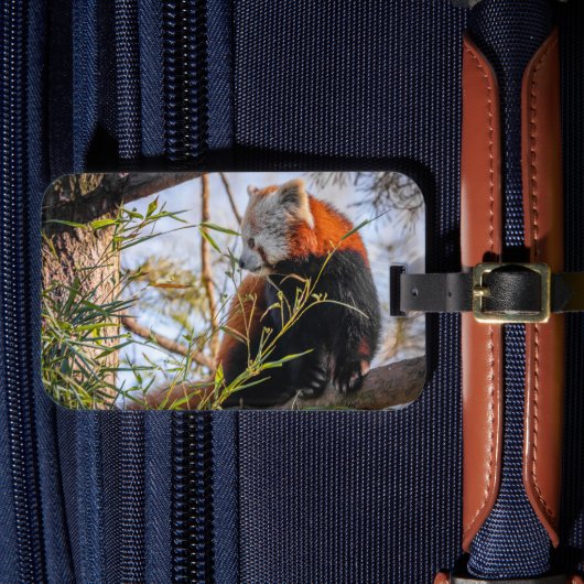 赤パンダ ラゲッジタグ (正面インサイチュ4)