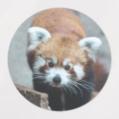 赤パンダ ラベル (デザイン2)