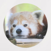 赤パンダ ラベル (デザイン1)