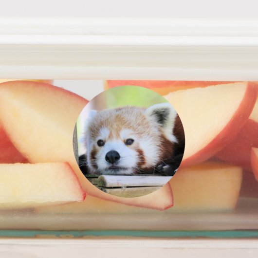 赤パンダ ラベル (貼付)