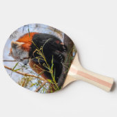 赤パンダ 卓球ラケット (横)