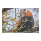 赤パンダ 枕カバー (正面)