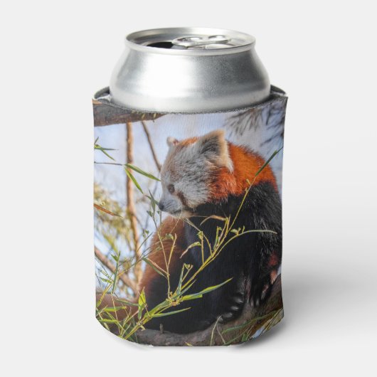 赤パンダ 缶クーラー (缶正面)