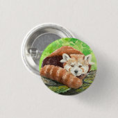 赤パンダ 缶バッジ (正面&裏面)