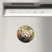 赤パンダ–005 マグネット (インサイチュ (食洗機))