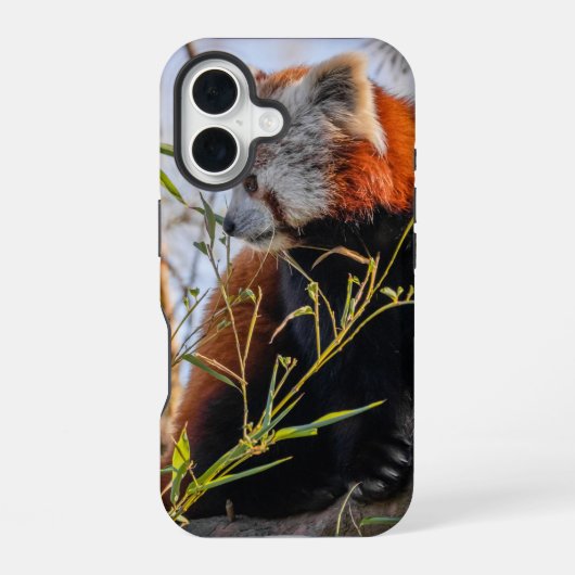 赤パンダ iPhone 16ケース (裏面)