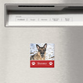 赤パーソナライズされたペットフォト磁石 マグネット (インサイチュ (食洗機))