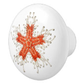 赤ヒトデのセラミックノブ セラミックノブ (右)