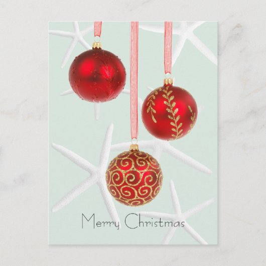 赤ヒトデ熱帯クリスマスポストカード シーズンポストカード (正面)