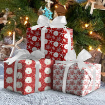 赤ヒトデ砂ドルクリスマスコースト