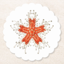 赤ヒトデ ペーパーコースター