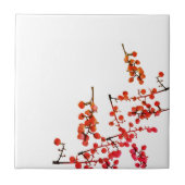 赤ファンキー胡椒の実柄 タイル (正面)