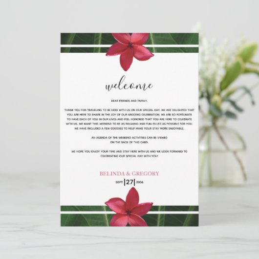 赤フランジパニプルメリア結婚のウェルカム日程 プログラム (スタンド正面)