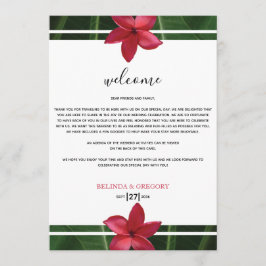 赤フランジパニプルメリア結婚のウェルカム日程 プログラム