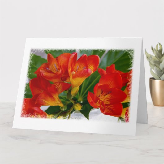 赤フリーシア カード (小さな植物)