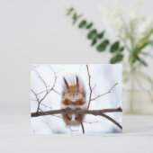 赤フレンドリーリス ポストカード (スタンド正面)