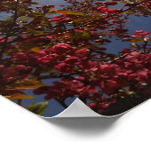 赤フローラ花1 ポスター (角)