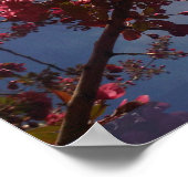 赤フローラ花2 ポスター (角)