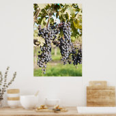 赤ブドウのつる植物 ポスター (キッチン)