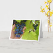 赤ブドウの束を手に カード (黄色い花)