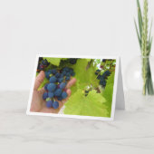 赤ブドウの束を手に カード (正面)