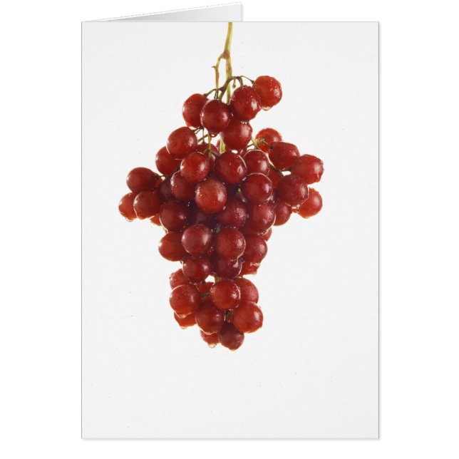 赤ブドウ (正面)