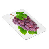 赤ブドウ マグネット (右側)