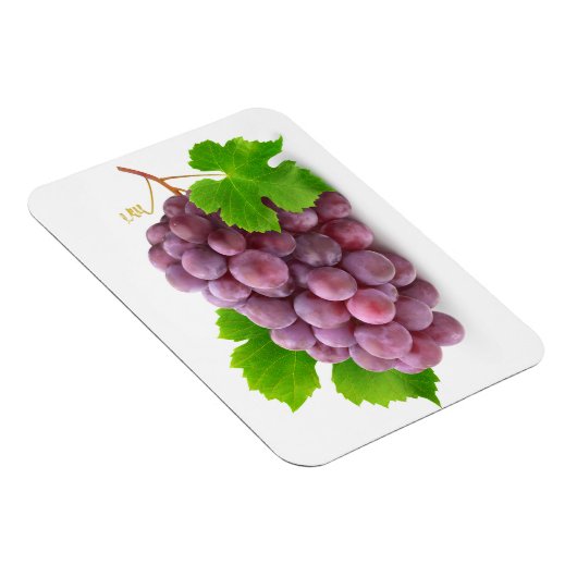 赤ブドウ マグネット (右側)