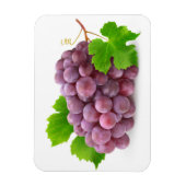 赤ブドウ マグネット (縦)