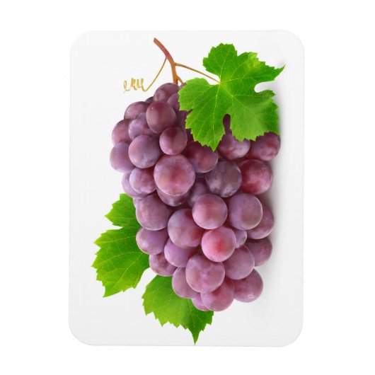 赤ブドウ マグネット (縦)