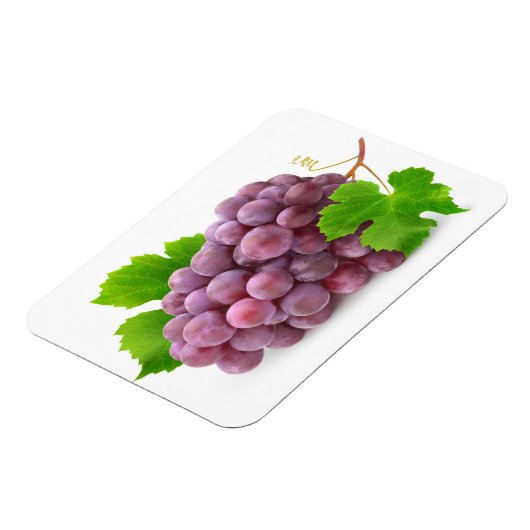 赤ブドウ マグネット (左側)