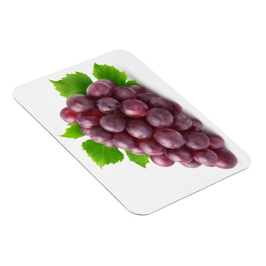 赤ブドウ マグネット (右側)