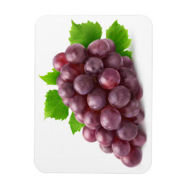 赤ブドウ マグネット