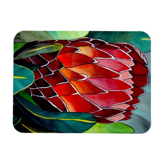 赤プロテアの水彩アートの花 マグネット (横)