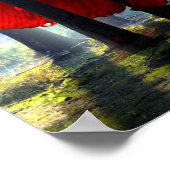 赤ベッタフィッシュ ポスター (角)