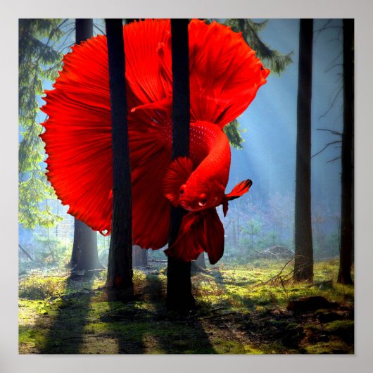 赤ベッタフィッシュ ポスター (正面)