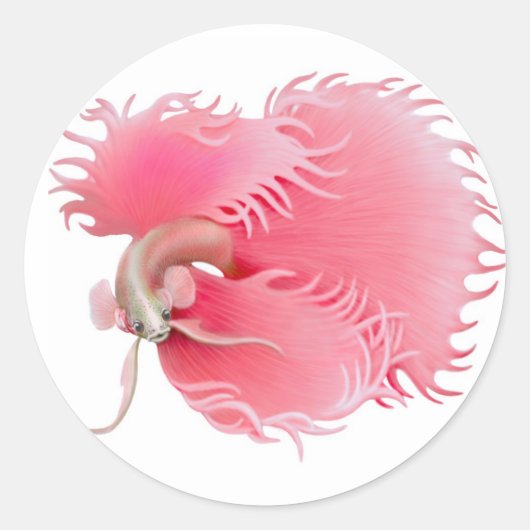 赤ベッタ脾臓の魚のシール ラウンドシール (正面)