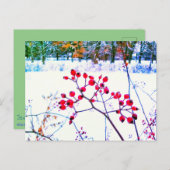 赤ベリー冬はがき シーズンポストカード (正面/裏面)