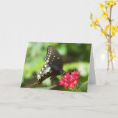 「赤ペンタの蝶」グリーティングカード カード (黄色い花)