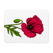 赤ポピースケッチ マグネット (横)